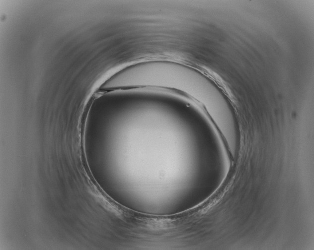 X0000083021184200702231830