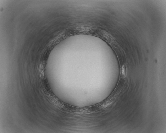 X0000083021203200702231829
