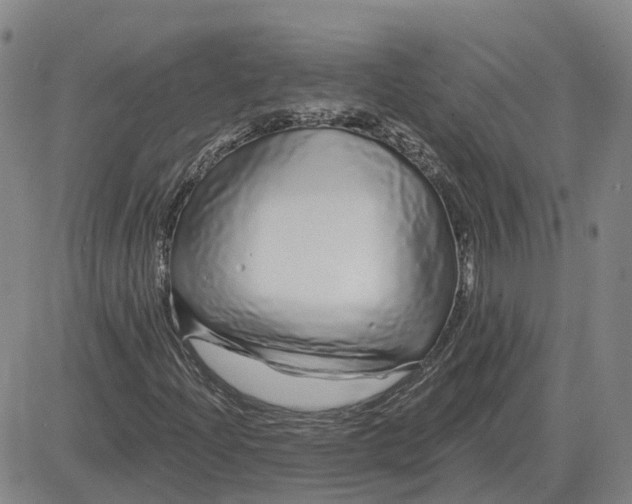 X0000083021204200702231829