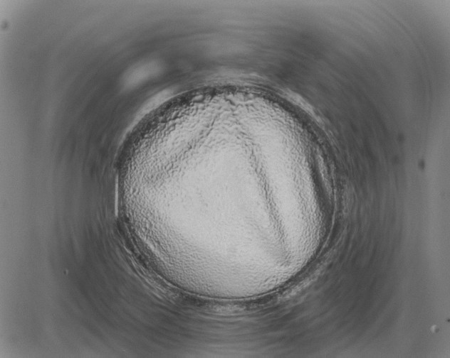 X0000083021219200702231829