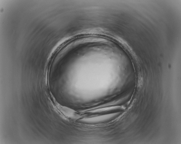 X0000083021224200702231829