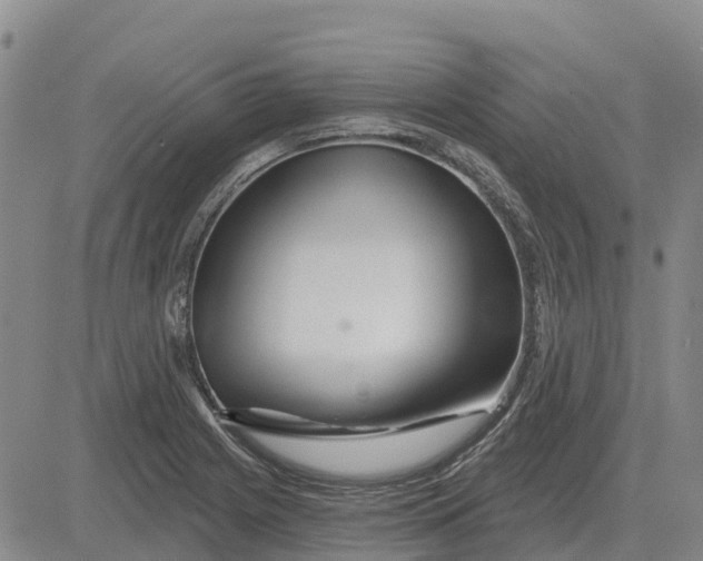 X0000083021225200702231829