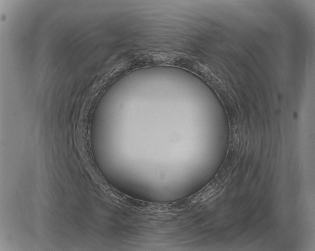 X0000083021249200702231829