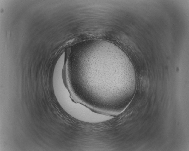X0000083021250200702231829