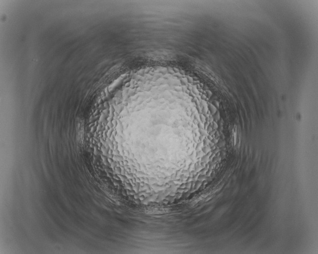 X0000083021251200702231829