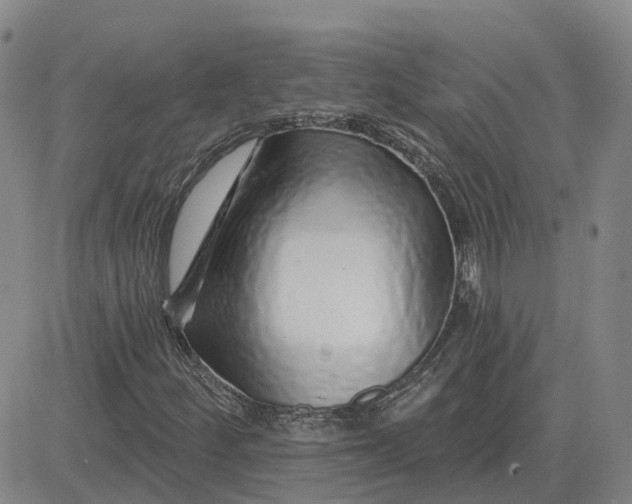 X0000083021252200702231829
