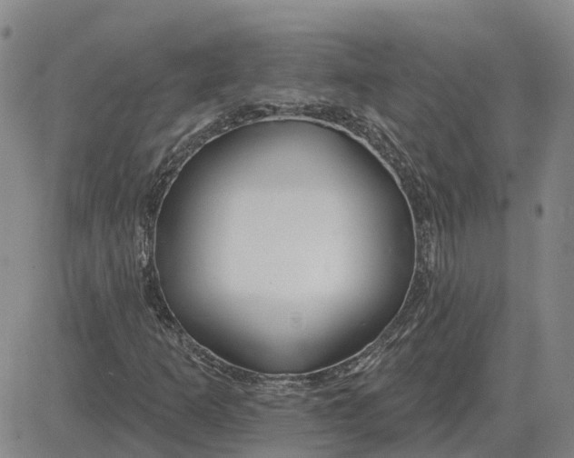 X0000083021253200702231829