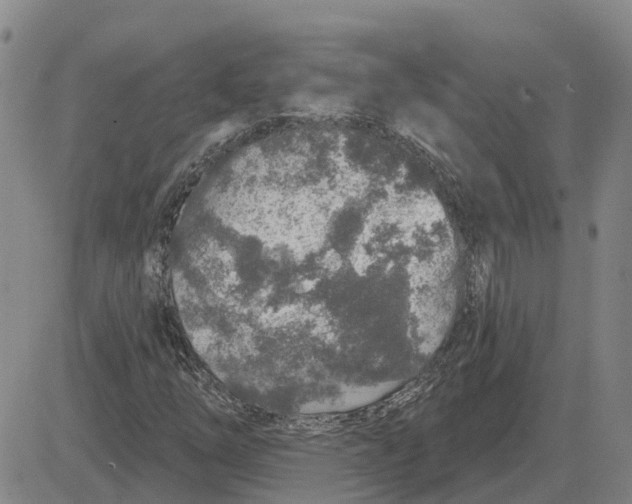 X0000083021254200702231829