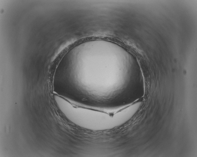 X0000083021256200702231829