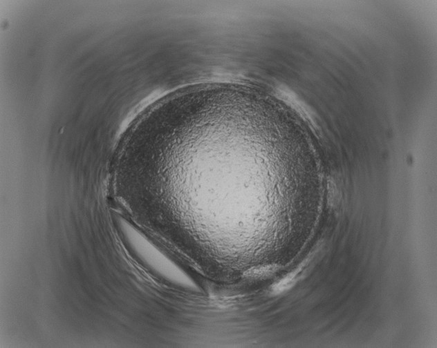 X0000083021260200702231829