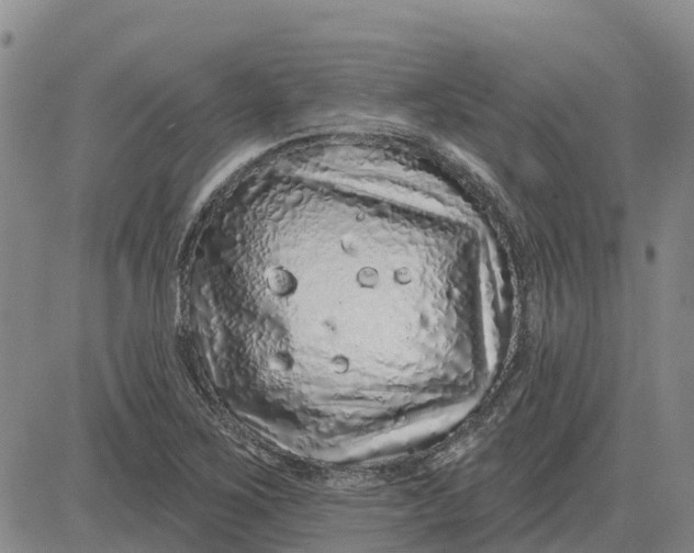 X0000083021267200702231829