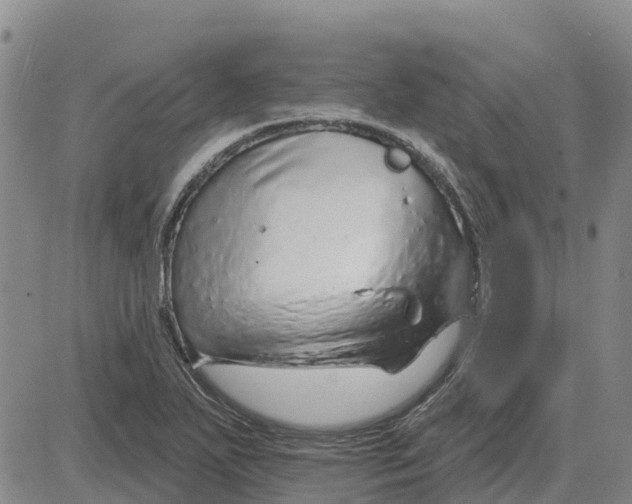 X0000083021271200702231829