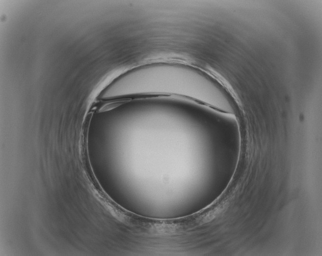 X0000083021277200702231828