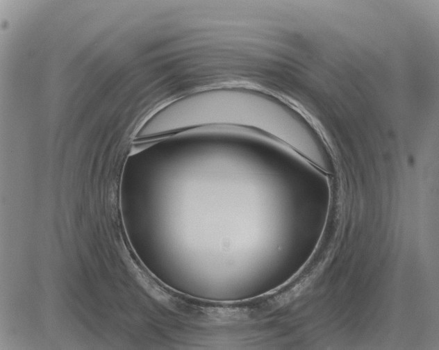X0000083021281200702231828