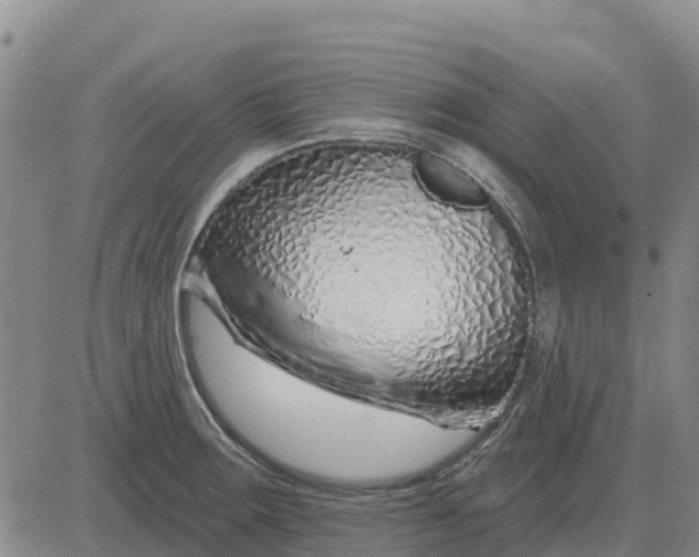 X0000083021283200702231828