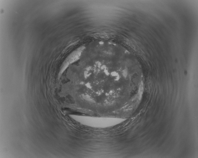 X0000083021297200702231827