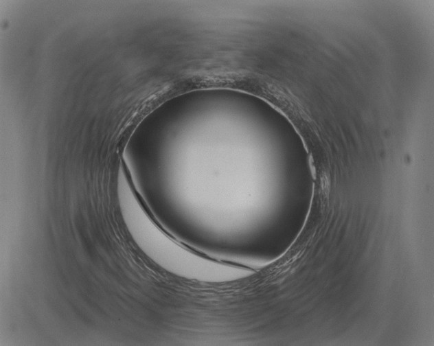 X0000083021300200702231827