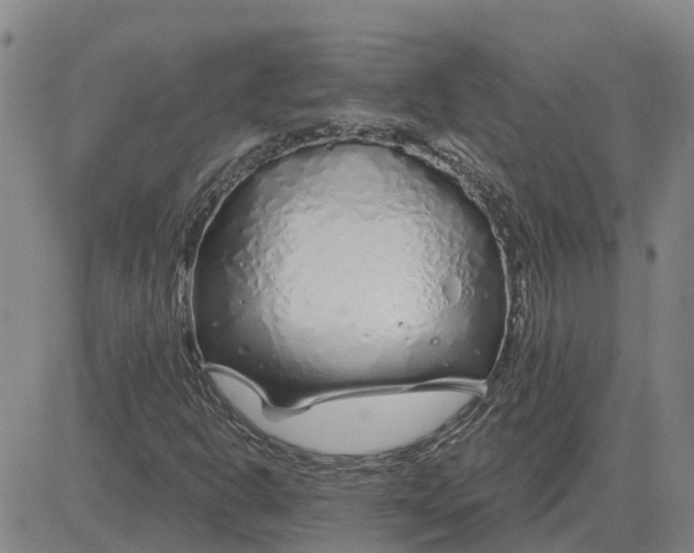 X0000083021302200702231827