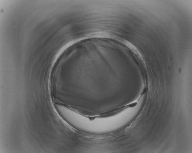 X0000083021334200702231828