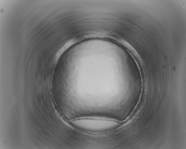 X0000083021337200702231828