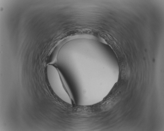 X0000083021345200702231827