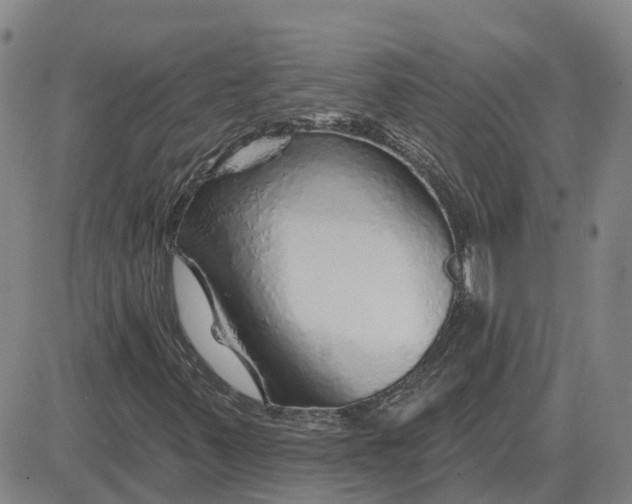 X0000083021347200702231827