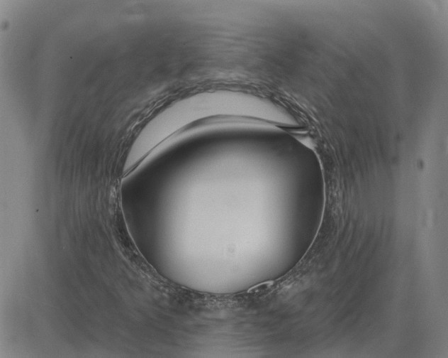 X0000083021349200702231827