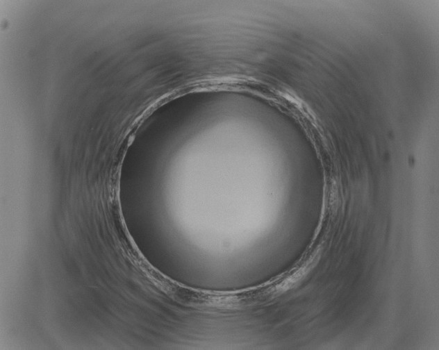X0000083021353200702231827