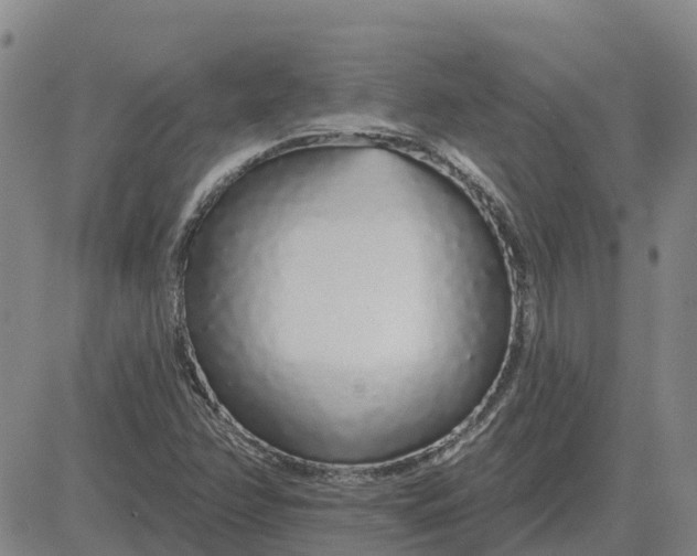 X0000083021358200702231827