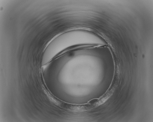 X0000083021369200702231827