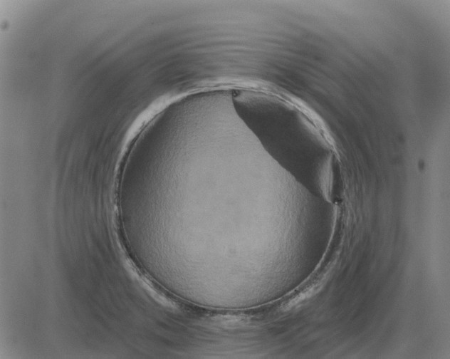 X0000083021373200702231827