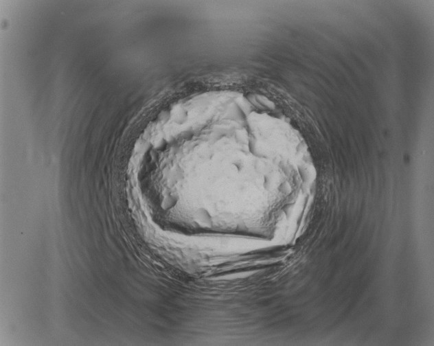 X0000083021393200702231826