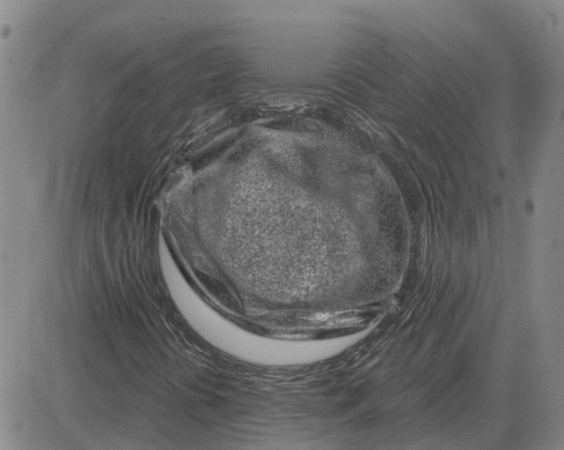 X0000083021394200702231826