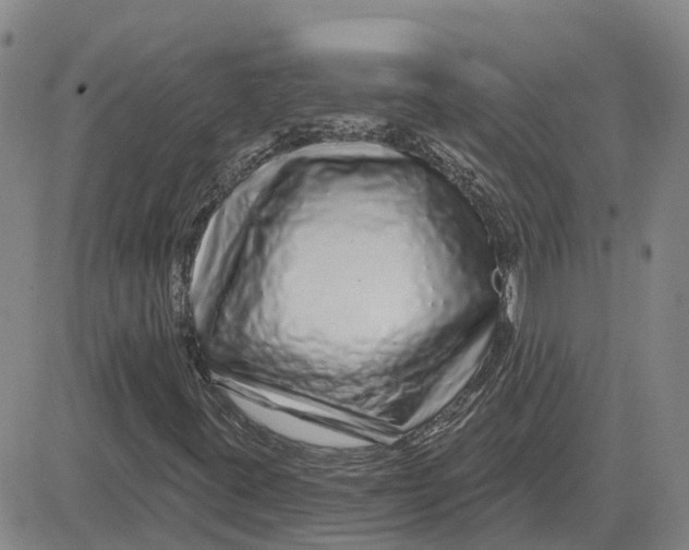 X0000083021395200702231826
