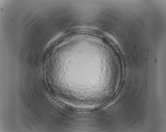 X0000083021403200702231826