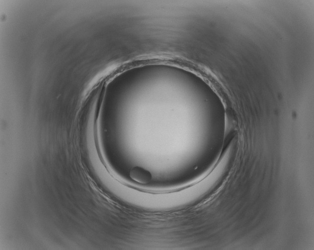 X0000083021406200702231826