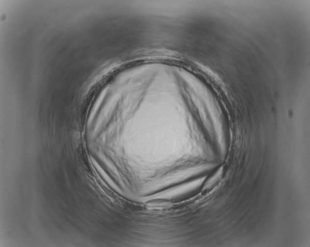 X0000083021407200702231826