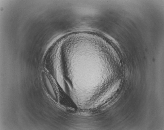 X0000083021415200702231826