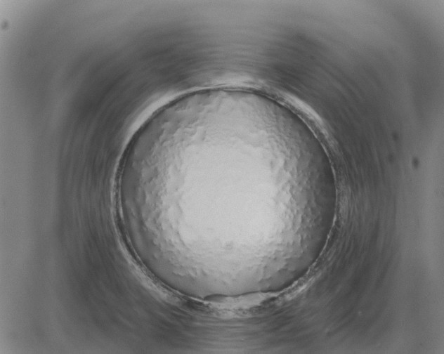 X0000083021423200702231826