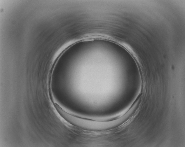 X0000083021438200702231826
