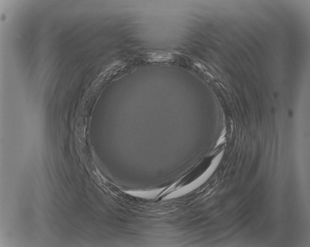 X0000083021441200702231826