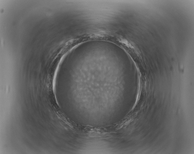 X0000083021445200702231826