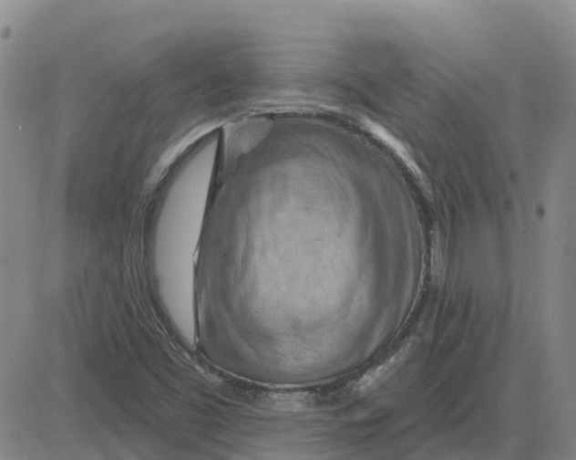 X0000083021453200702231826