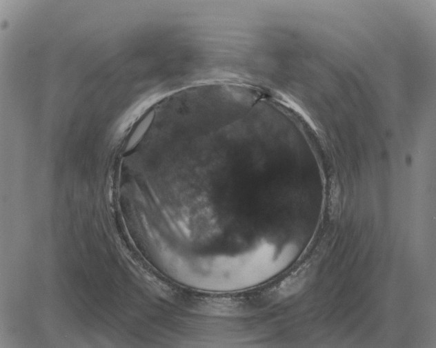 X0000083021455200702231825