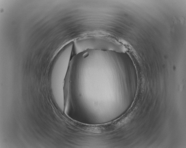 X0000083021457200702231825