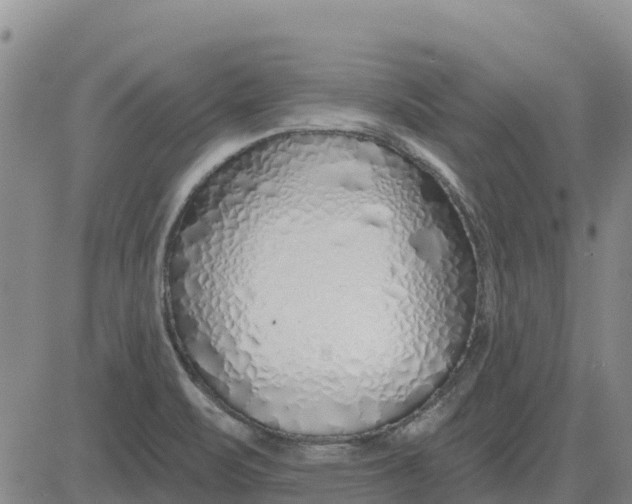 X0000083021471200702231825