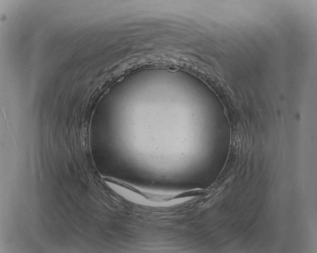 X0000083021490200702231824