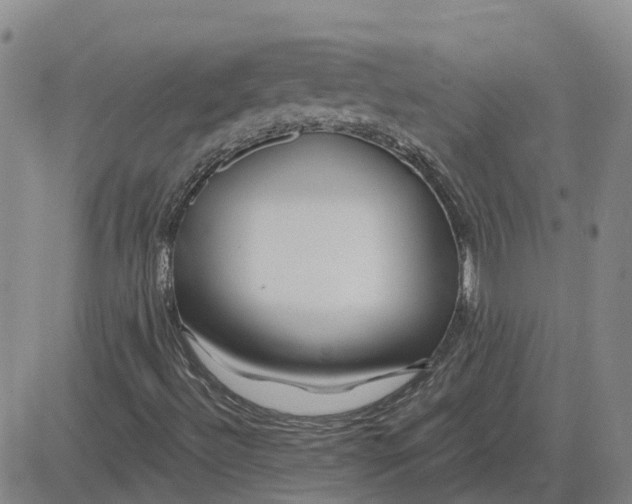 X0000083021492200702231824
