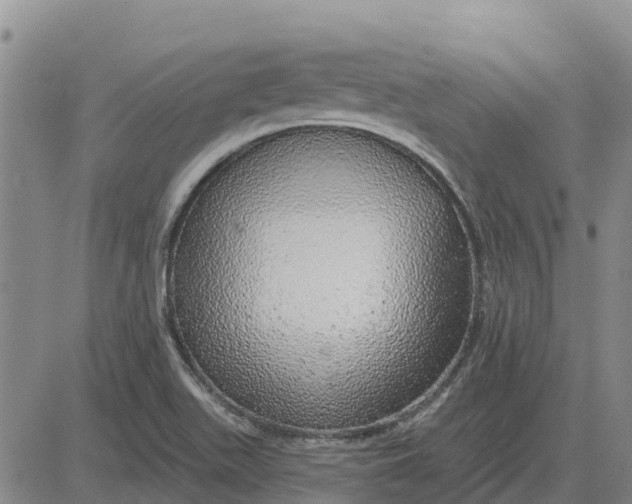 X0000083021511200702231824