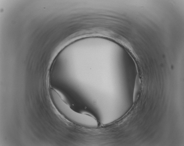 X0000083021516200702231825